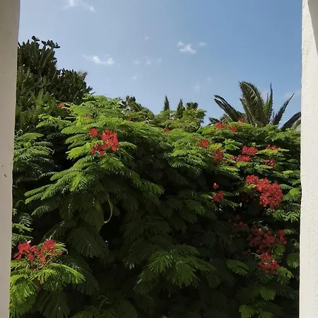 Apartment Sol Tropical Apartment,